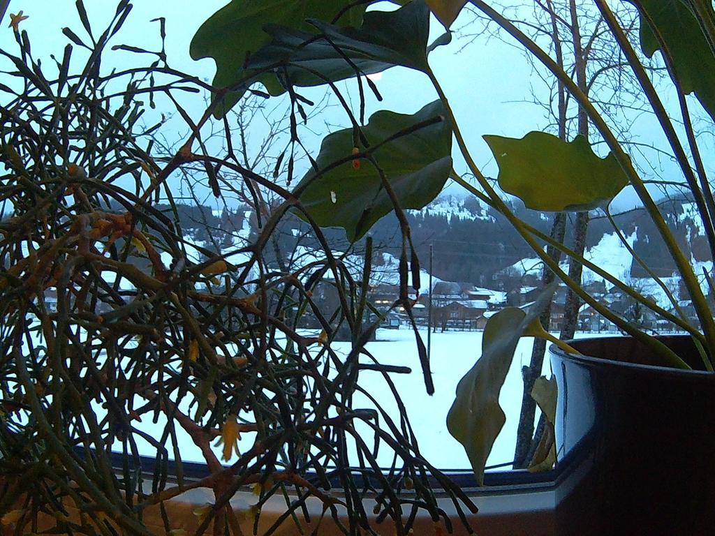 Pension Alpenblick Schattwald Bagian luar foto